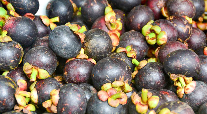 Magosteen Früchte am Markt