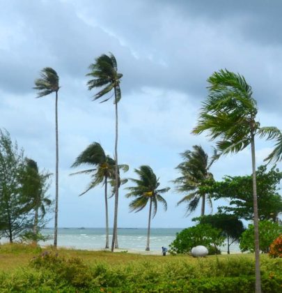 Bintan Bay und das Swiss-Belhotel; nichts für Menschen auf der Suche nach Action