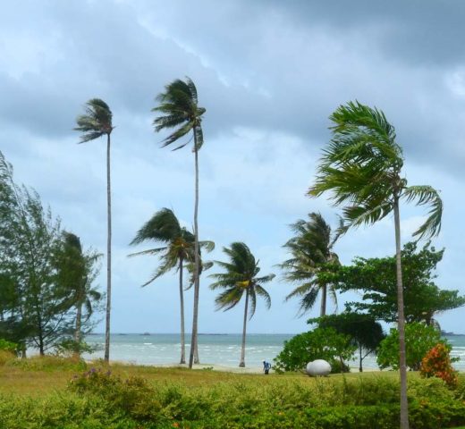Bintan Bay und das Swiss-Belhotel; nichts für Menschen auf der Suche nach Action