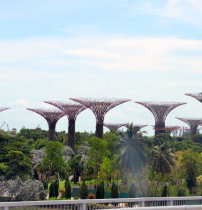 Genussreise nach Singapur