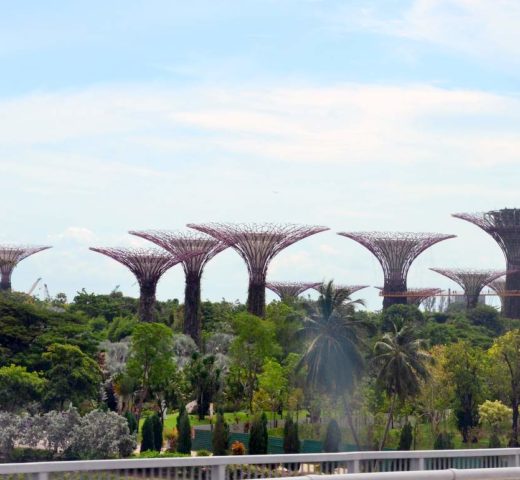 Genussreise nach Singapur