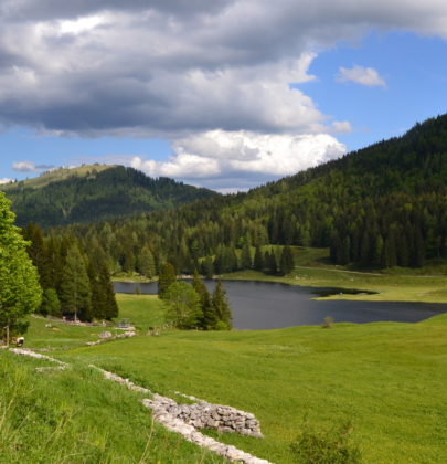 Der Seewaldsee; Idylle im Salzburger Tennengau