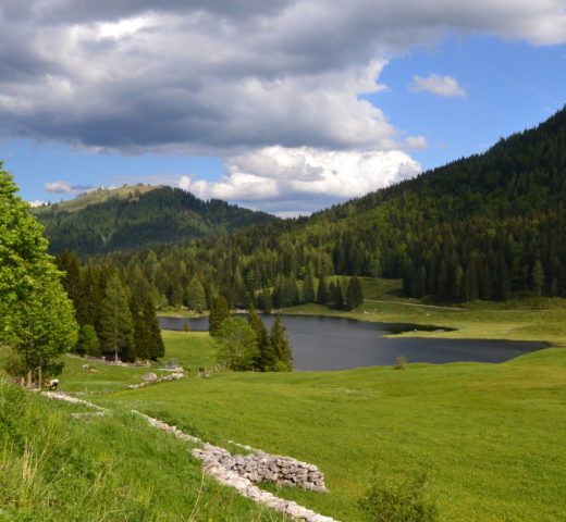 Der Seewaldsee; Idylle im Salzburger Tennengau