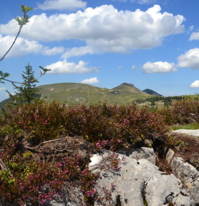 Über’s Land drüberschauen, der Trattberg