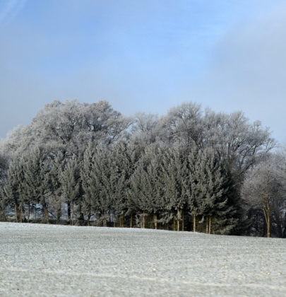 Baby it’s cold outside, Tage an denen ich das Haus kaum verlassen kann