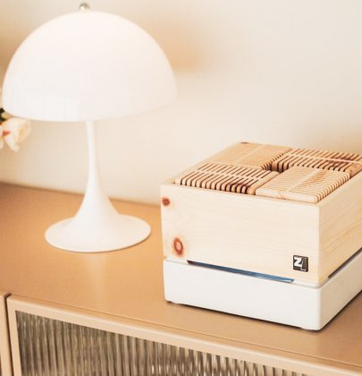 Blick in mein Schlafzimmer; ein neuer Bewohner ist eingezogen