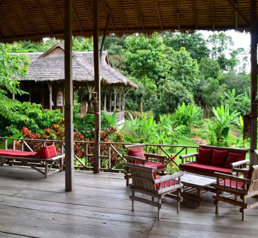 Ich war im Paradies Tee pflücken und in einer Lodge chillen
