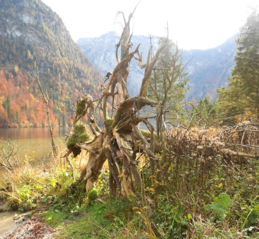 Stillstand
