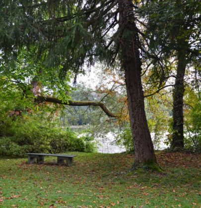 Allerheiligen, ein Blick ins Familiengrab