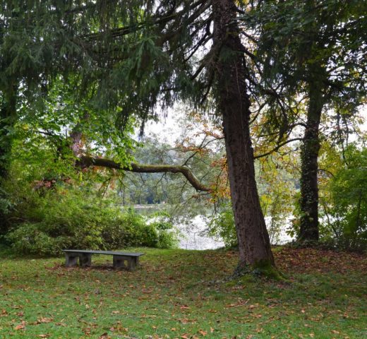 Allerheiligen, ein Blick ins Familiengrab
