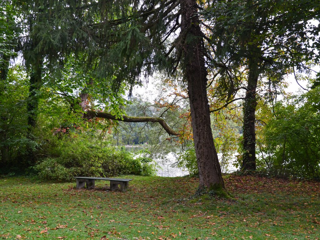 Parklandschaft