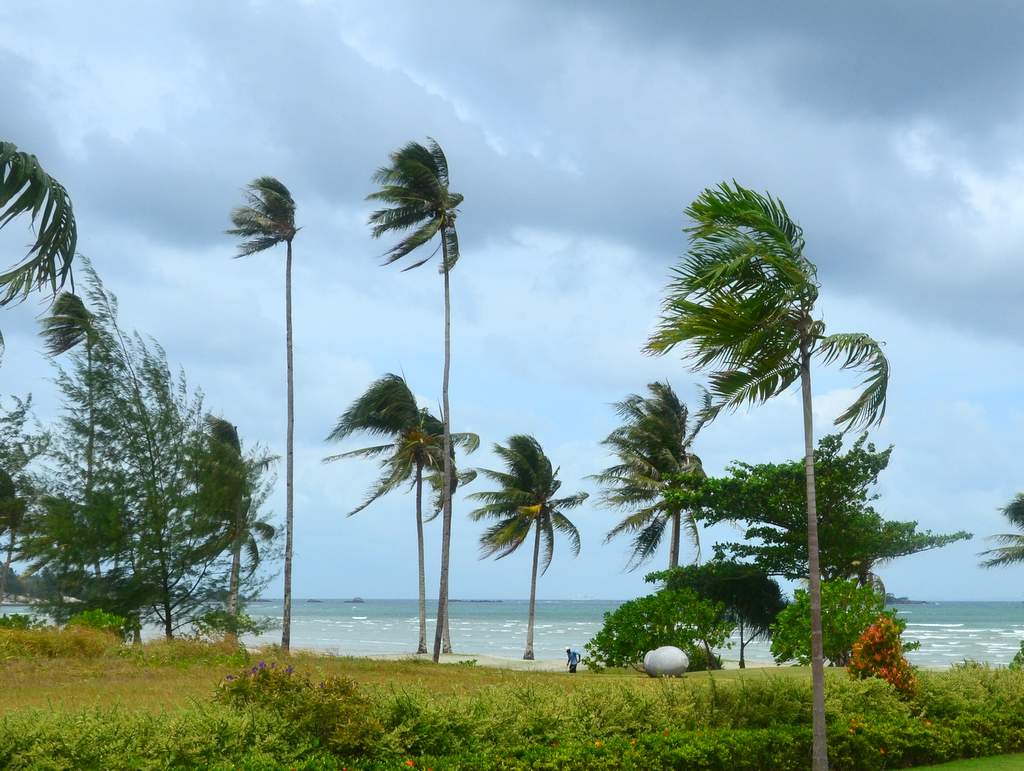 Strand in Asien