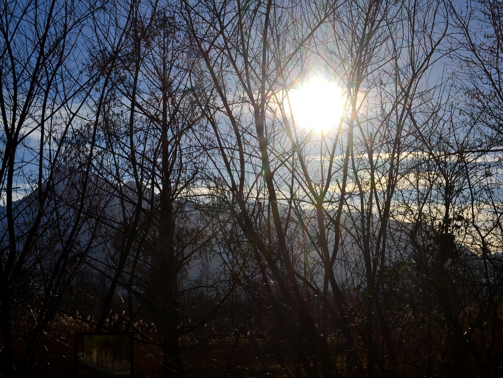 Winterlandschaft