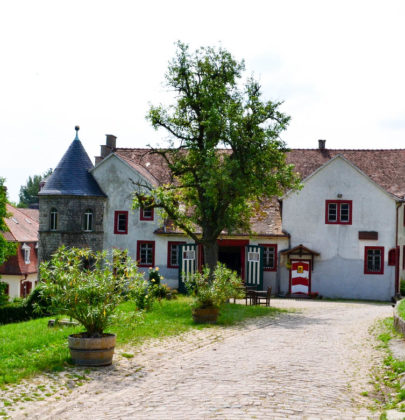 Trinken, wohnen und essen in Rheinhessen