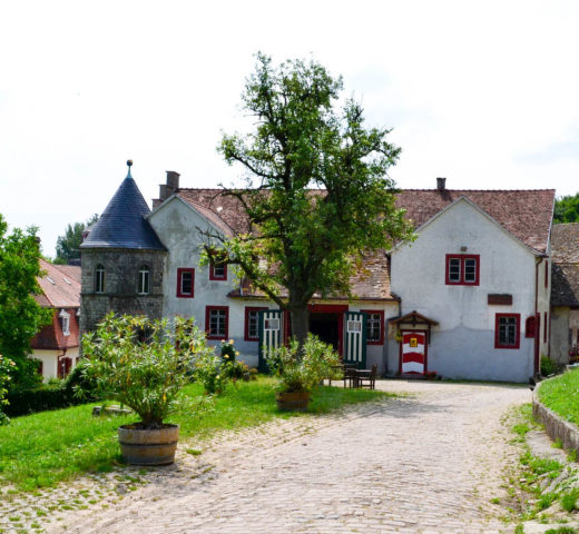 Trinken, wohnen und essen in Rheinhessen