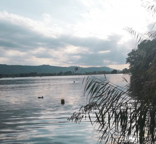 Wellness, fasten und saunieren in der Region Westlicher Bodensee