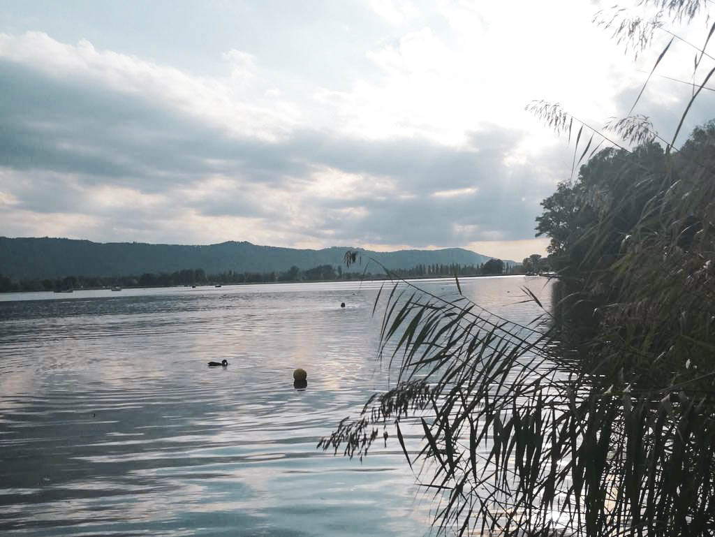 abendstimmung in Radolfzell