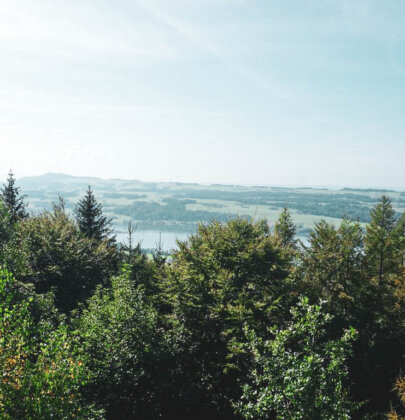 Wandern im Salzburger Seenland; der Buchberg am Mattsee