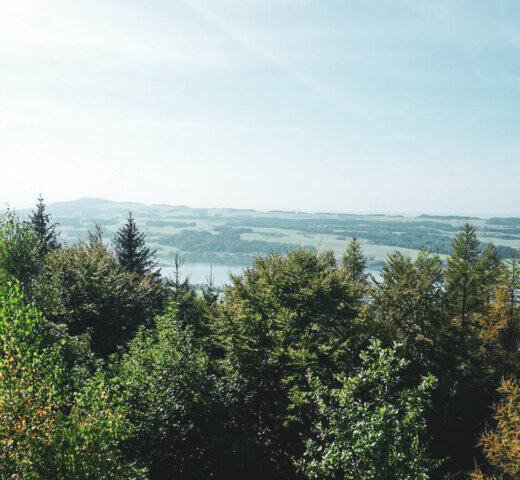 Wandern im Salzburger Seenland; der Buchberg am Mattsee
