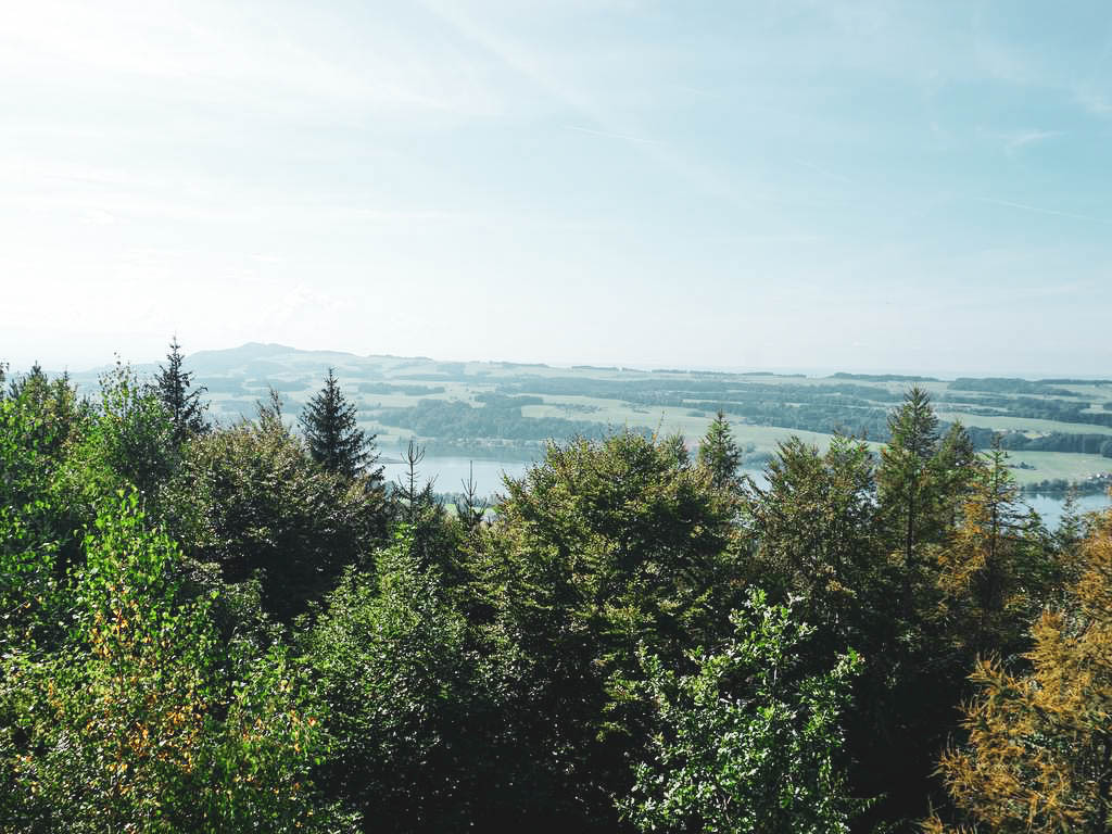 Mattsee vom Buchberg aus