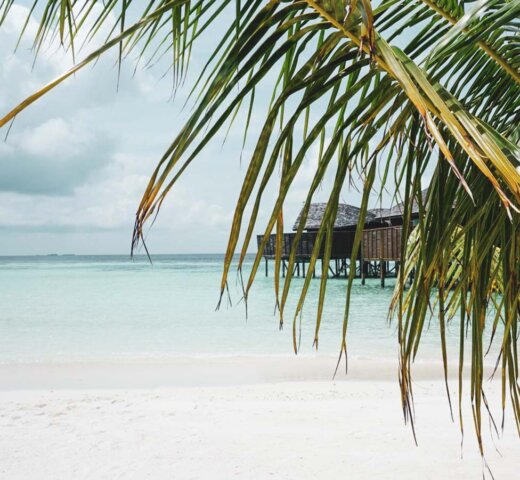 Reiseinspiration: Welche Arten von Reisen sind derzeit am beliebtesten?